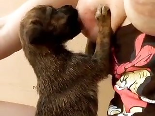 Free Full Movies Sex