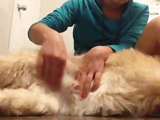 I Had Another Mouthful Of Goo And Went To Swallow It When Elrod Knickered And Stomped His Back Hoof