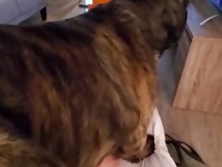 Her First Full Knott Compilation Mp4
