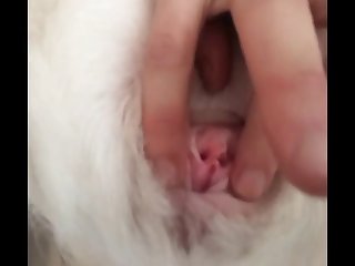Pussy Rub.wmv