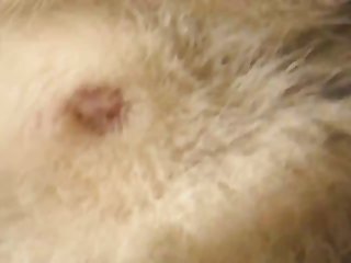 Aluzky Husky Pussy Close