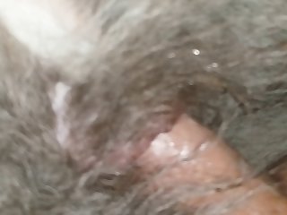 Creampie Dog Pussy