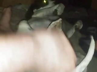 Creampie On Lily's Pussy