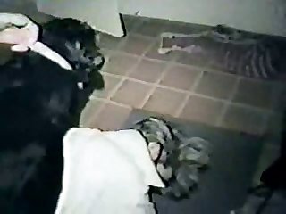 Theanimalporn.com
