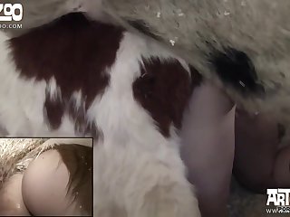 Is It Illegal To Watch Zoo Porn