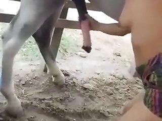 Guy Zoophilia Porn