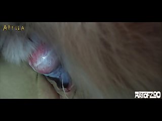 Porn Dude Extreme