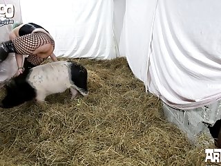 What Is The Horniest Animal