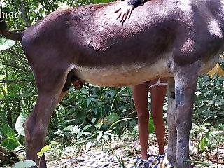 Swallowing Horse Cum