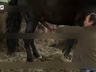Big Dog Fuck Cute Girl