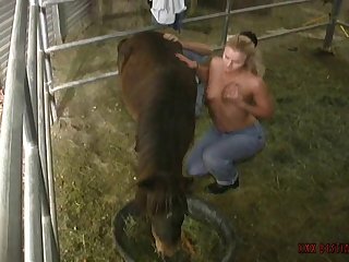 Hot Man Fuck Dog