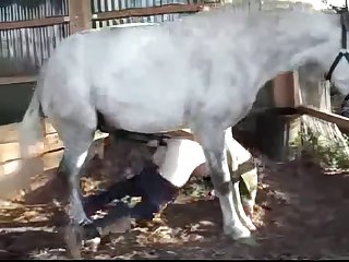 Dog Fuck In Mouth