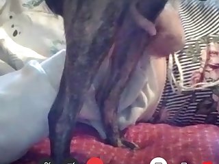 Dog Mouth Fuck