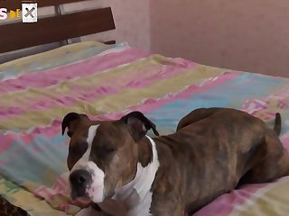 Big Booty Dog Fuck