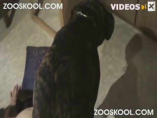 Boys Sex With Animal