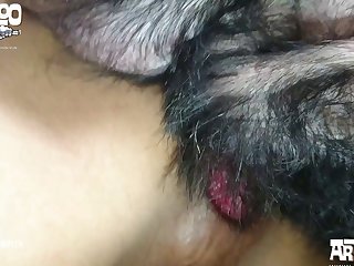 Clementine Dog Porn