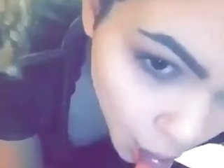 Animal With Porn Videos