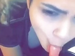 Animal With Porn Videos