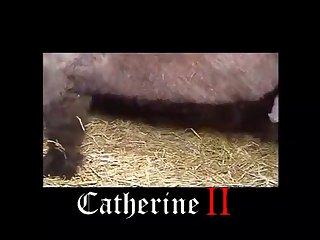 Is Watching Animal Porn Illegal In India