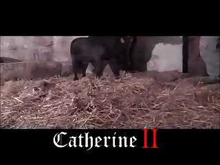 Is Watching Animal Porn Illegal In India