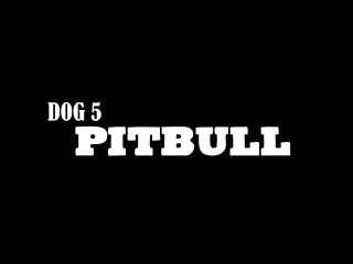 Brasileira Porno Animal