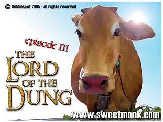 Porno Animal Cavallo