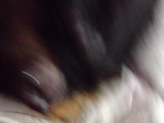 Porno Animal Com Travesti