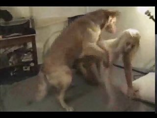 Ahegao Asian Xxx Porn