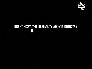 Www Xxx Xnxx Sex Com