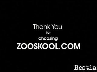 Sofia Baddie Dog Porn Video