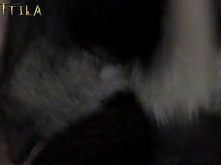 Illuxxtrandy's Animation Dog Porn