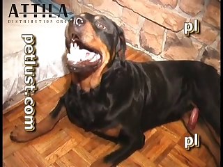 Pb120 Raw Tyson