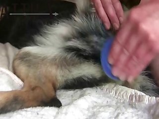 86545 Man Fuck Gsd