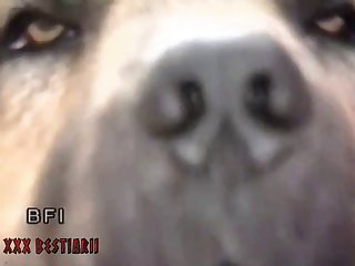 Teen Dog Porn Cam