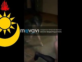 Man Fucks Female Dog Porn