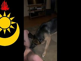 Man Fucks Female Dog Porn