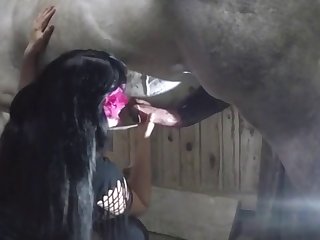 Zoo Tube Video