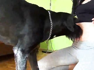 Mature Animal Dog Xxx