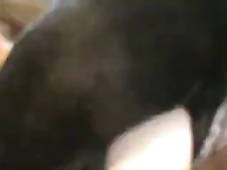 Samus Aran Horse Porn
