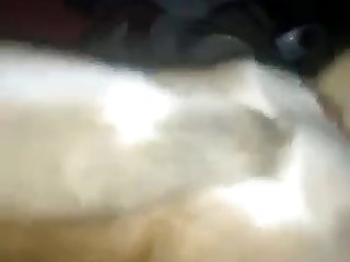 Horse Cum In Face Porn