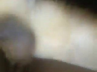 Horse Cum In Face Porn