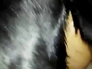 Horse Cum Eating Porn