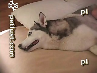 Girl Rubs Dog Cock