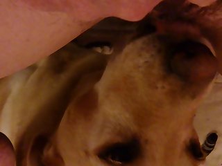 Okmasteryou Can Move The Bench